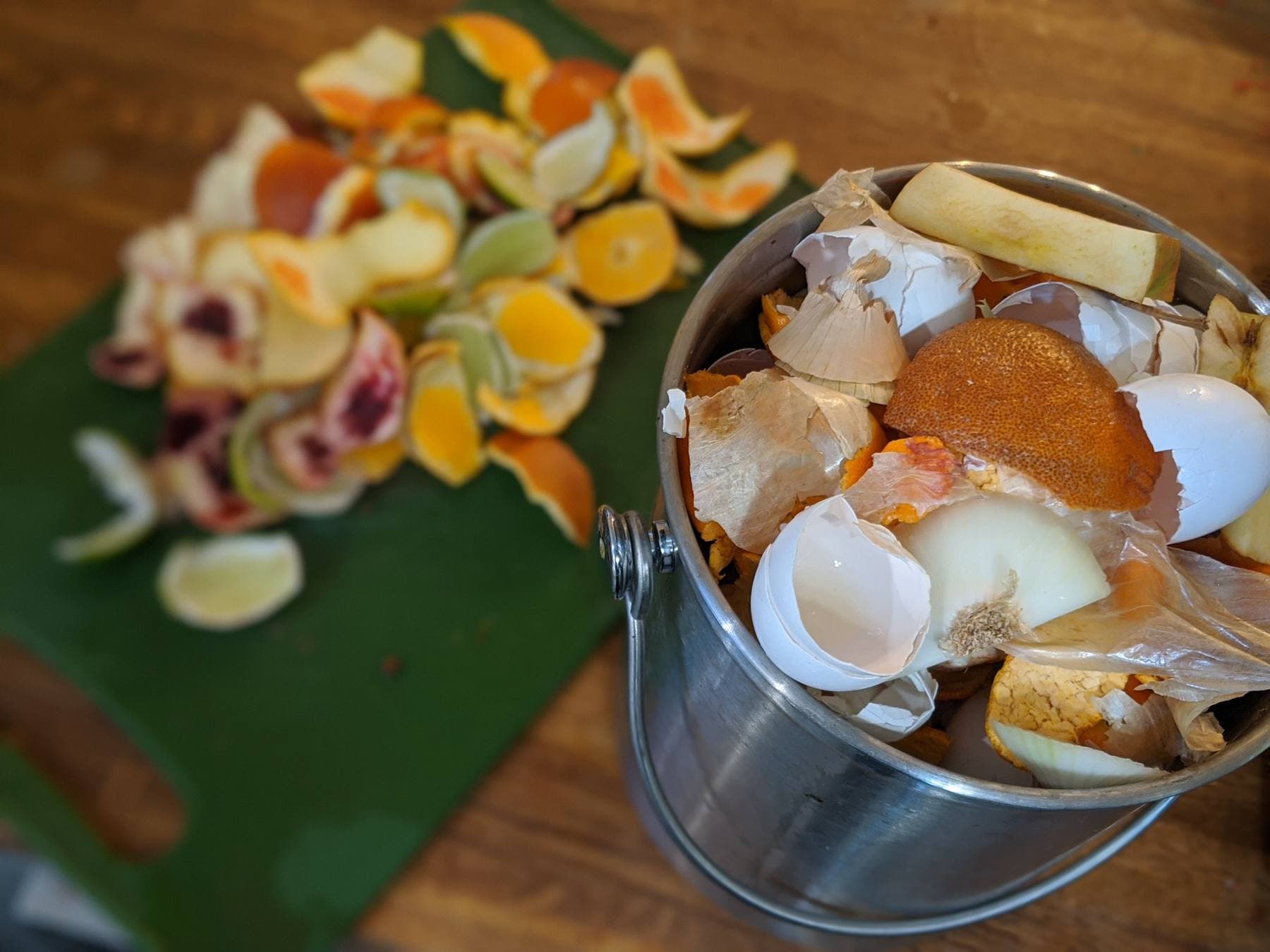 A ScrapCycle bucket full of food scraps